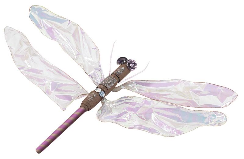 Iridescent Dragonfly Project