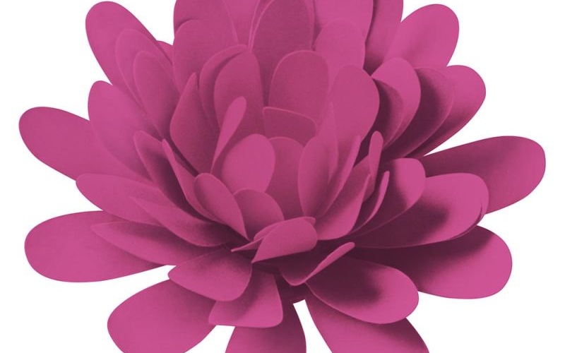 truray_dark-pink_flower