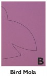 bird mola template