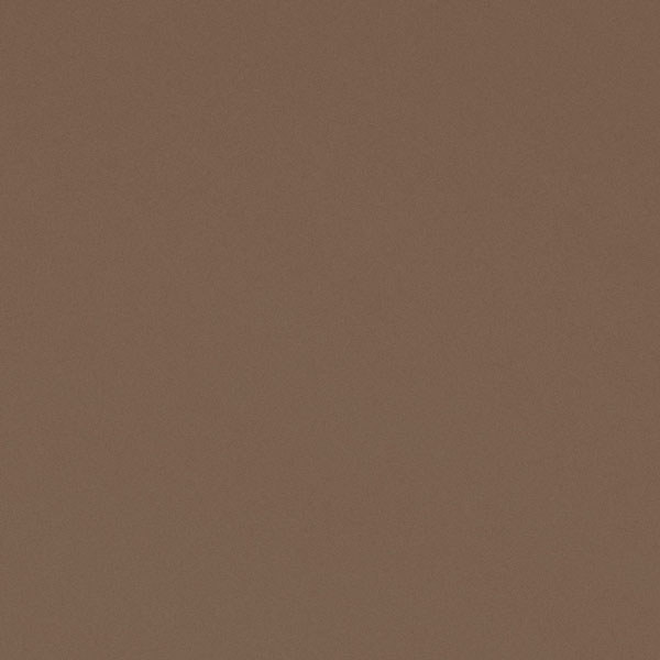 <h1 style="text-align: center;">Tru-Ray<sup>®</sup> Dark Brown Construction Paper</h1>