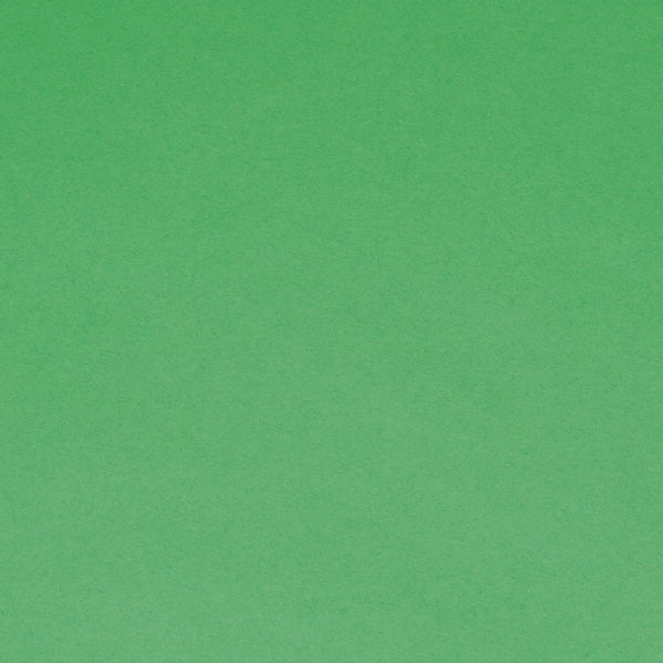 <h1 style="text-align: center;">Tru-Ray<sup>®</sup> Festive Green Construction Paper</h1>