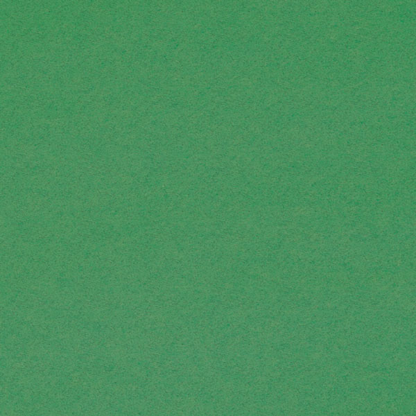 <h1 style="text-align: center;">Tru-Ray<sup>®</sup> Holiday Green Construction Paper</h1>